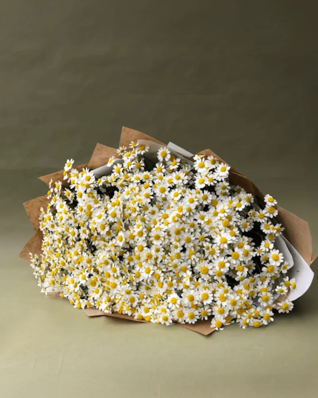 Daisy